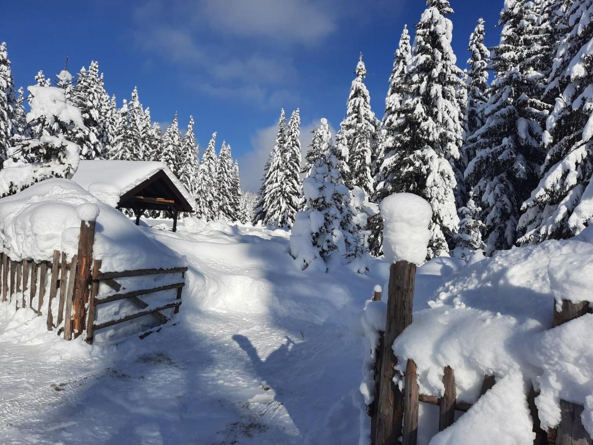 Vila Jelena Jahorina Buitenkant foto