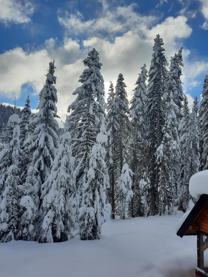 Vila Jelena Jahorina Buitenkant foto