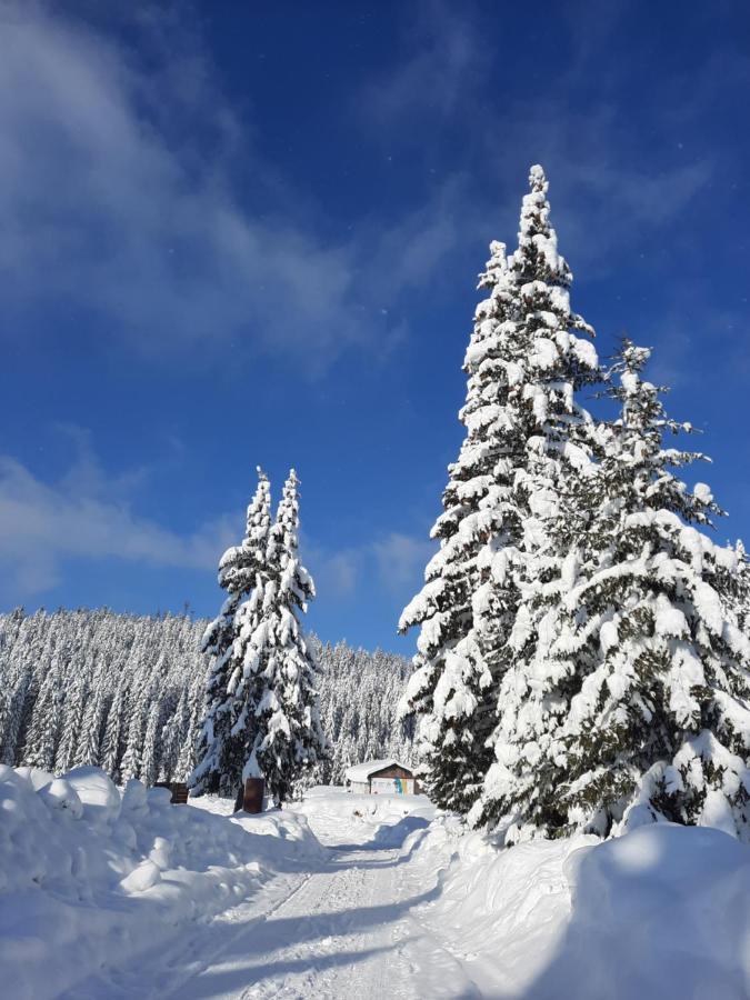 Vila Jelena Jahorina Buitenkant foto