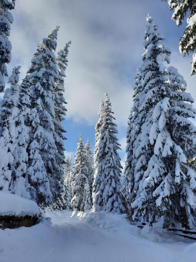 Vila Jelena Jahorina Buitenkant foto