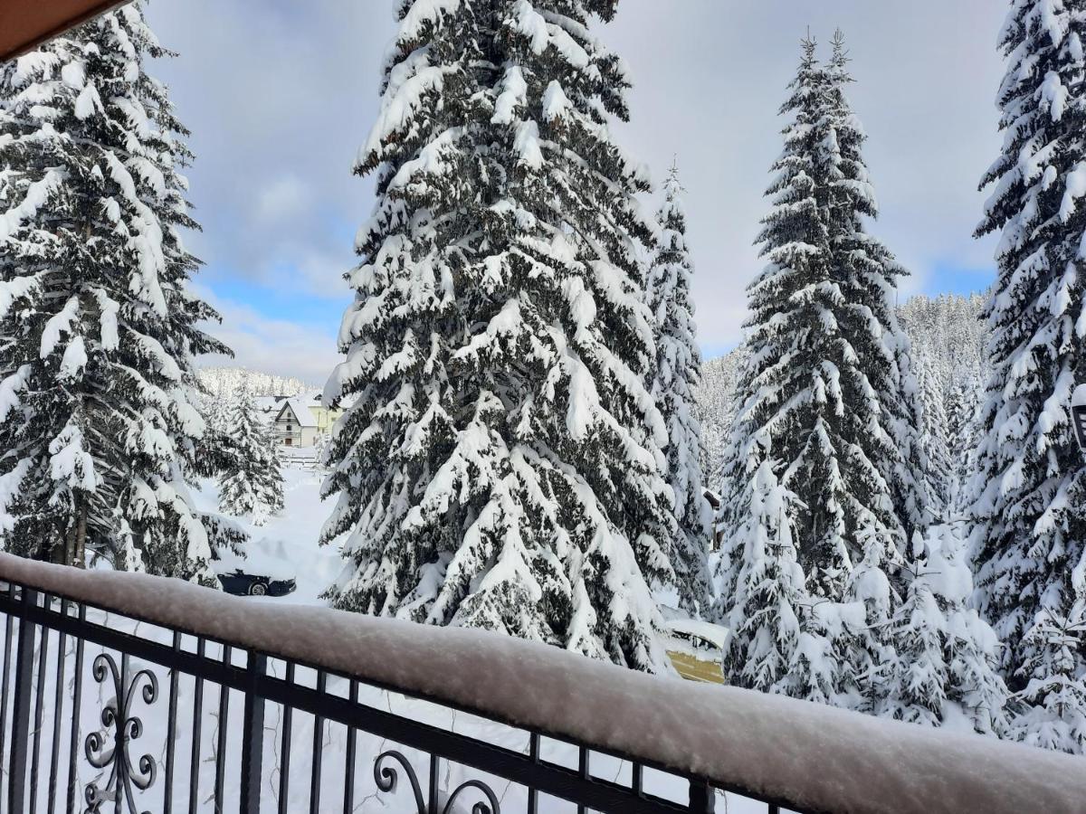 Vila Jelena Jahorina Buitenkant foto