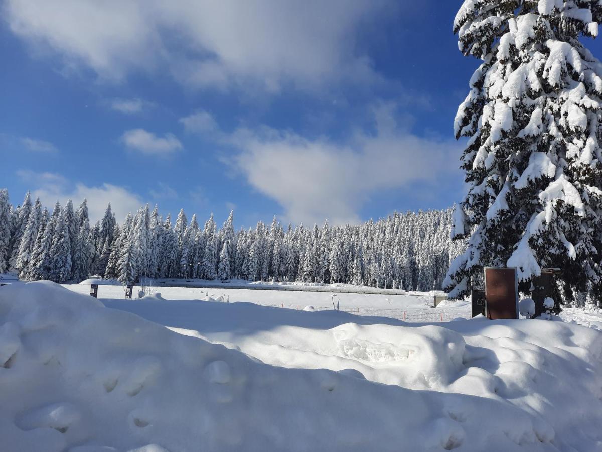Vila Jelena Jahorina Buitenkant foto