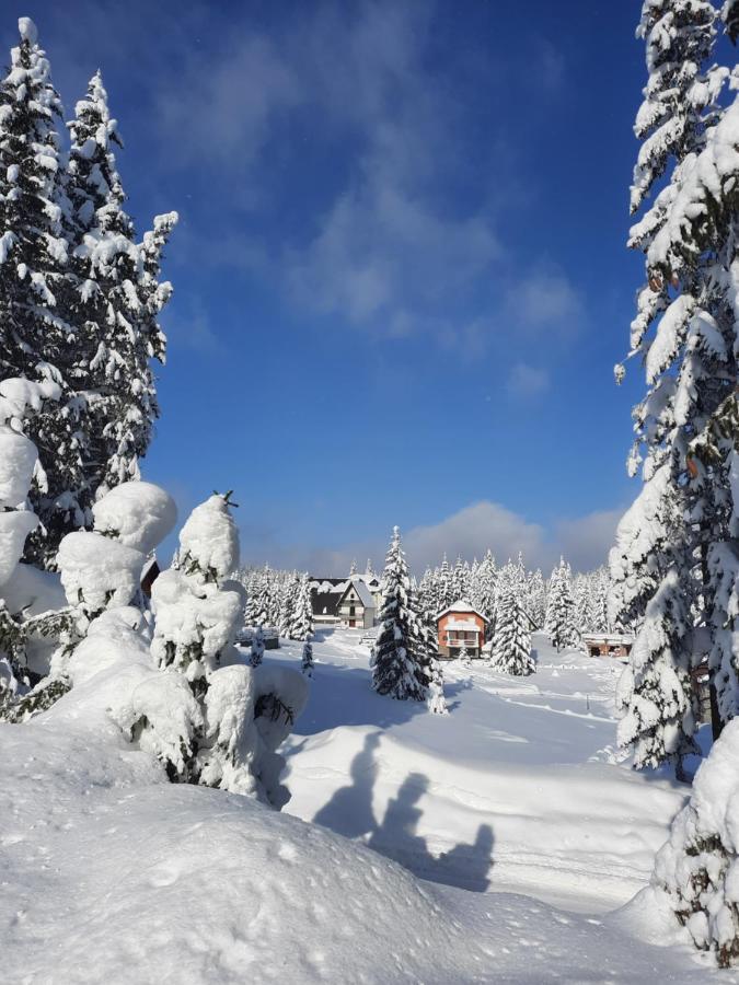 Vila Jelena Jahorina Buitenkant foto